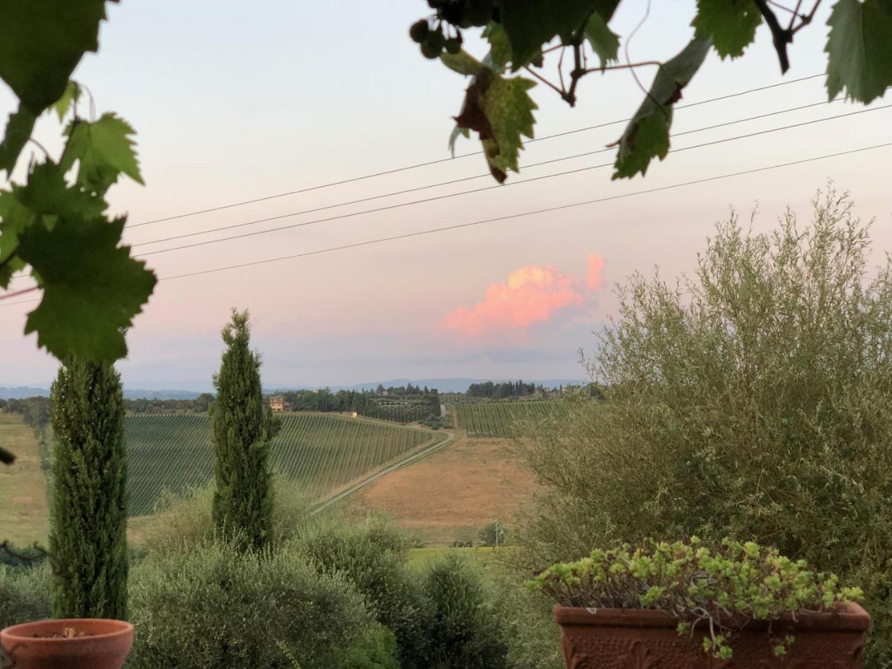 Agriturismo L'Olmo San Gimignano Exterior foto