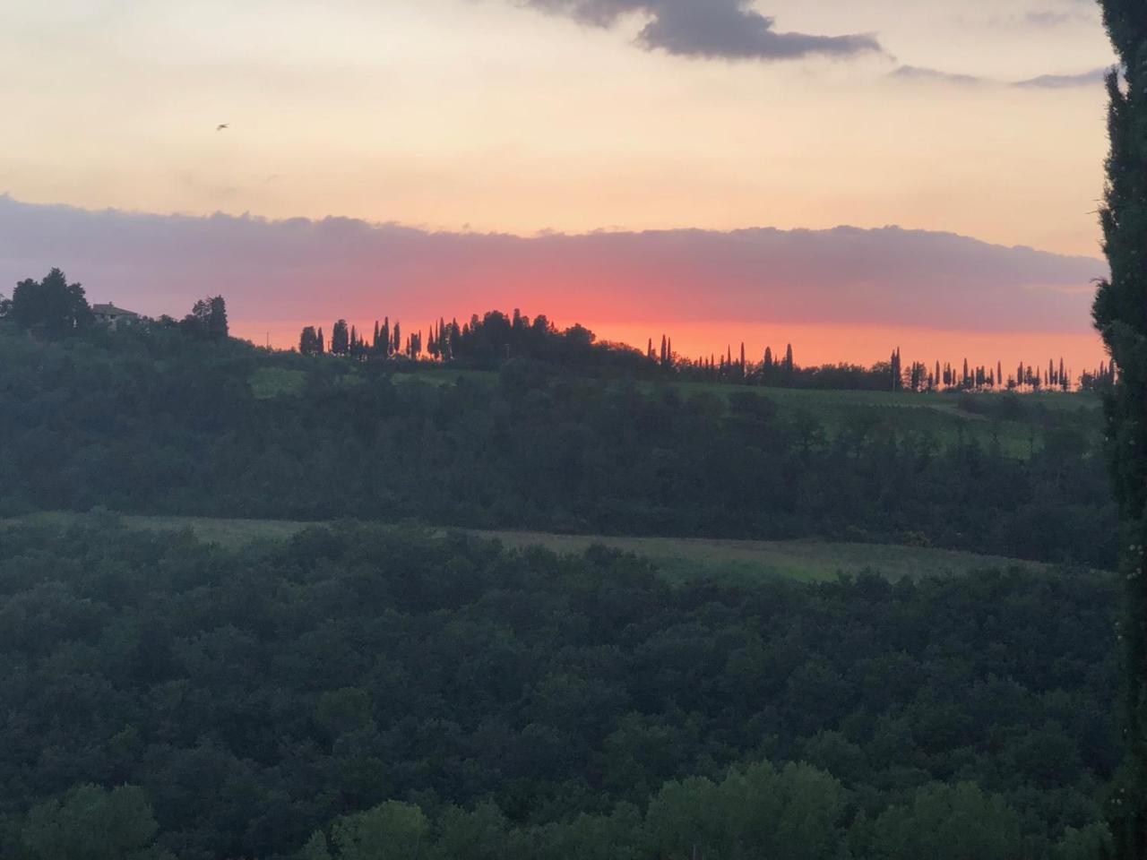 Agriturismo L'Olmo San Gimignano Exterior foto