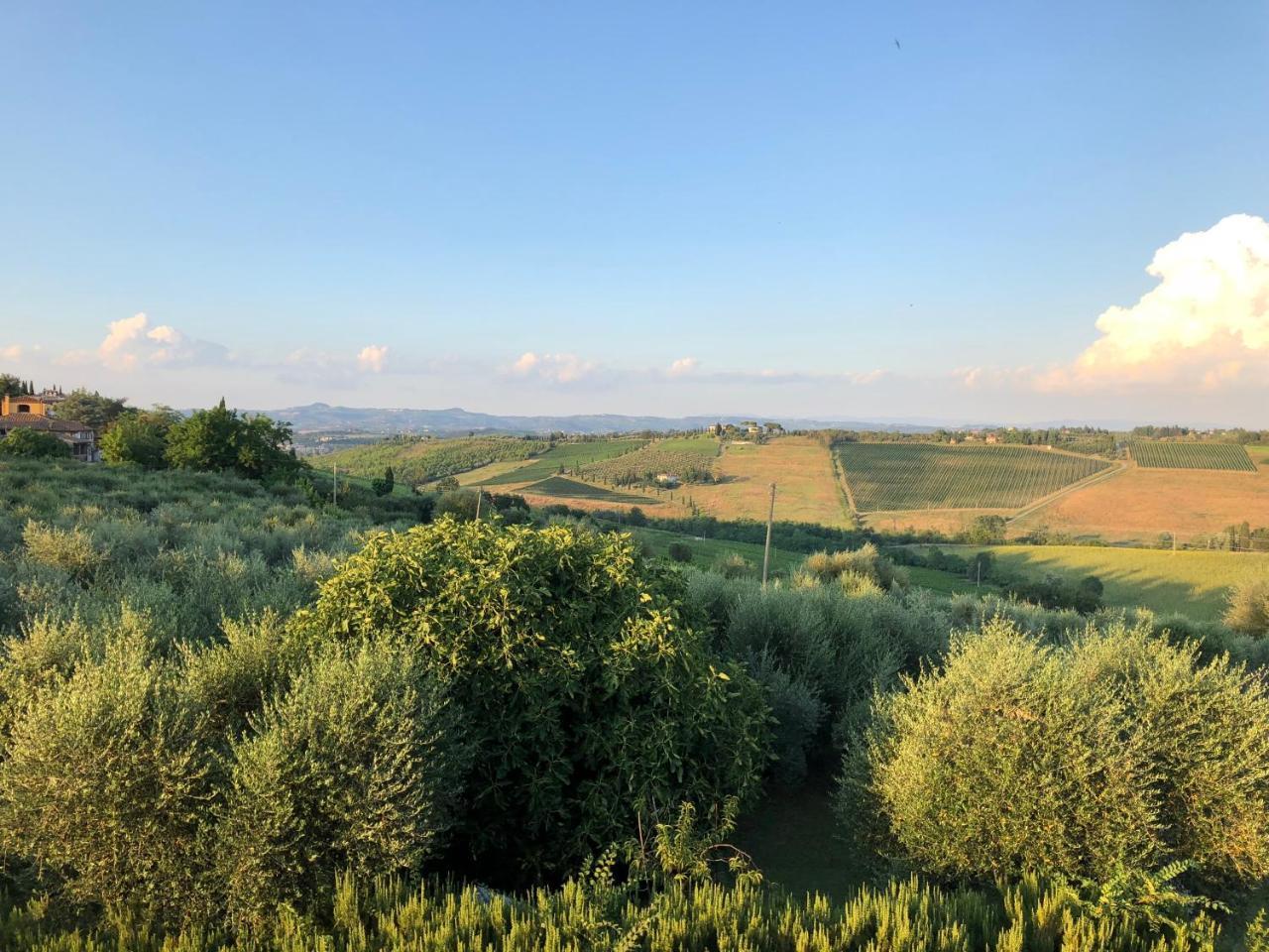 Agriturismo L'Olmo San Gimignano Exterior foto